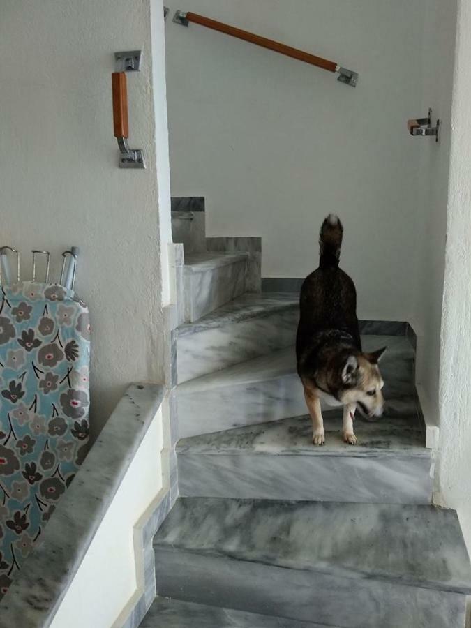 Seaside Beach House Сивири Екстериор снимка